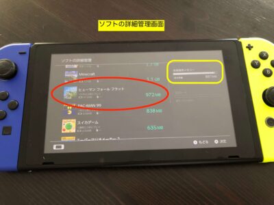 Nintendo Switchゲーム機本体の『ソフトの詳細管理』画面